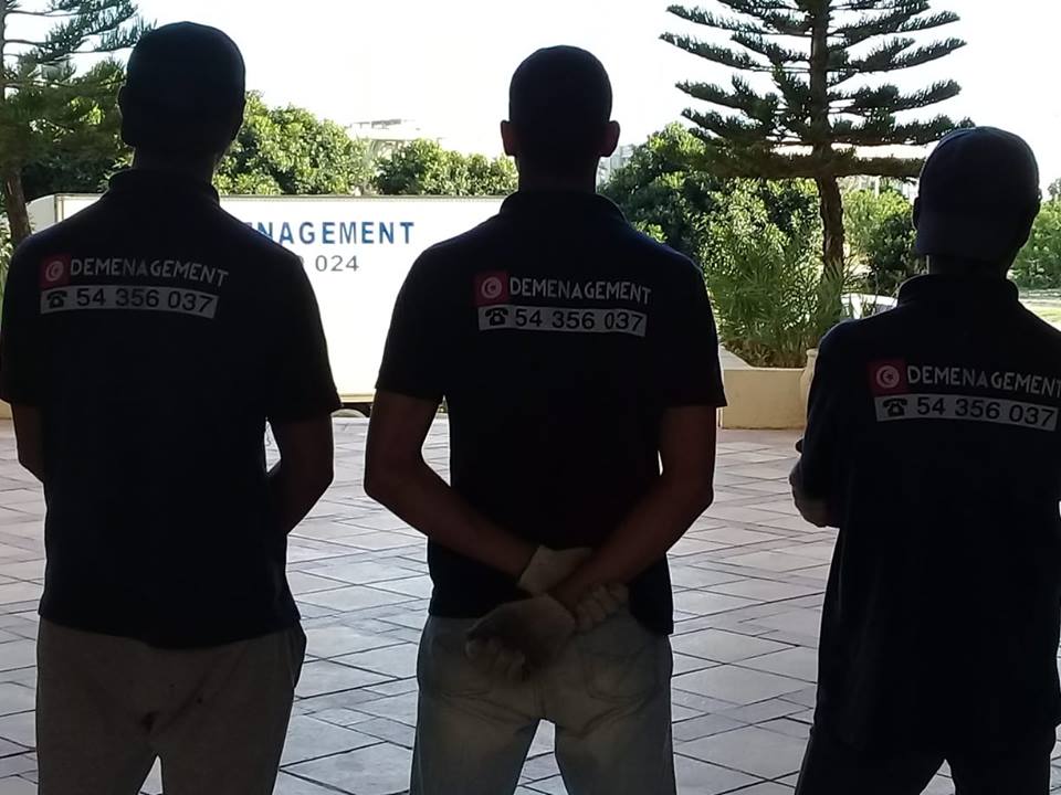 professionnel de déménagement enTunisie Image